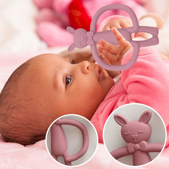 L'Anneau de Dentition