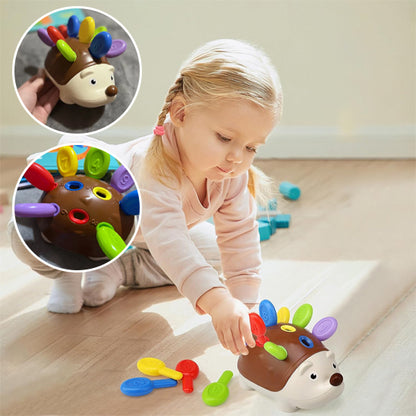 Jouets de Motricité Fine