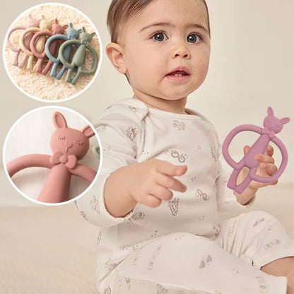 L'Anneau de Dentition