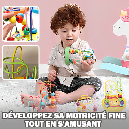 Le Labyrinthe en Bois