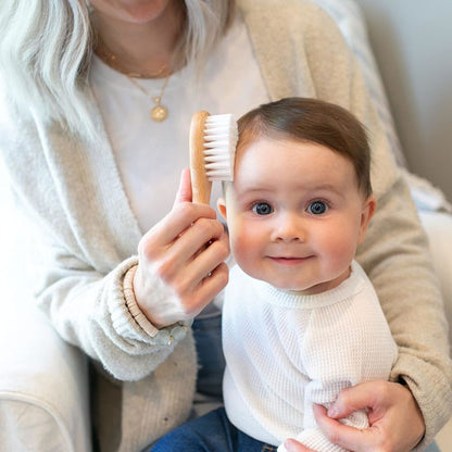 Ensemble brosses et peigne :