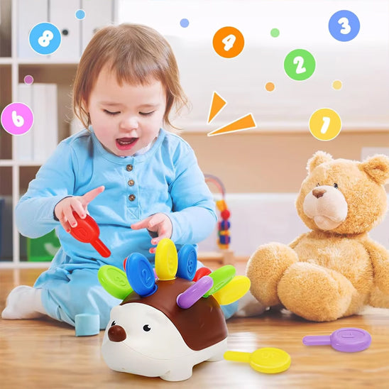 Jouets de Motricité Fine